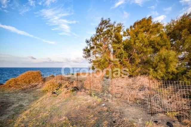 (For Sale) Land Agricultural Land || Cyclades/Santorini-Oia - 1.120 Sq.m, 50.000€ 