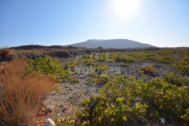 (For Sale) Land Plot out of City plans || Cyclades/Santorini-Thira - 5.606 Sq.m, 370.000€ 