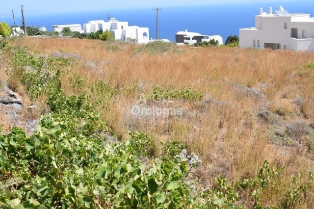 (Προς Πώληση) Αξιοποιήσιμη Γη Αγροτεμάχιο || Κυκλάδες/Σαντορίνη-Θήρα - 1.245 τ.μ, 65.000€ 